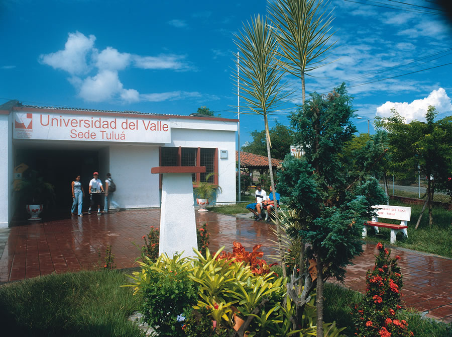 Universidad del Valle Sede Tuluá - Tuluá, Valle del Cauca, Colombia, Perfil profesional